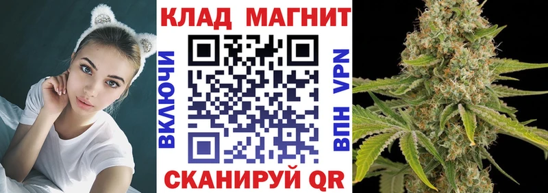 Продажа наркотиков Каменногорск Гашиш  Alpha-PVP  Меф  Марихуана  Кокаин 