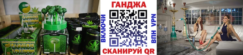 закладки  Каменногорск  Cannafood марихуана 