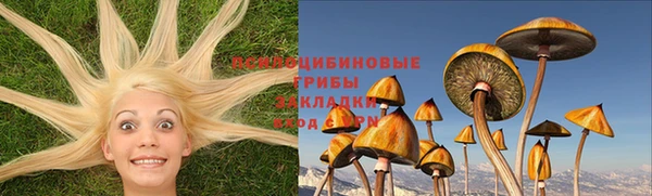 герыч Няндома