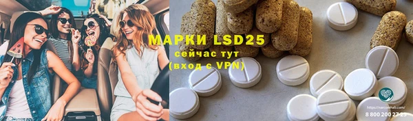 спиды Каменка