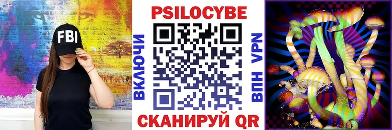 Галлюциногенные грибы Psilocybine cubensis  OMG сайт  Каменногорск  купить наркоту 