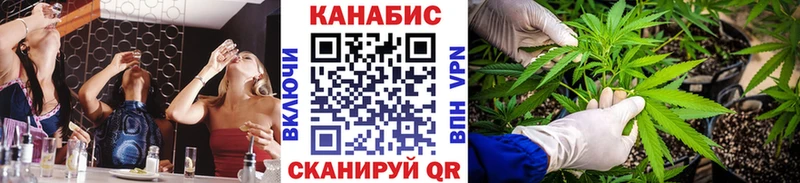 Бошки марихуана гибрид  кракен маркетплейс  Каменногорск 